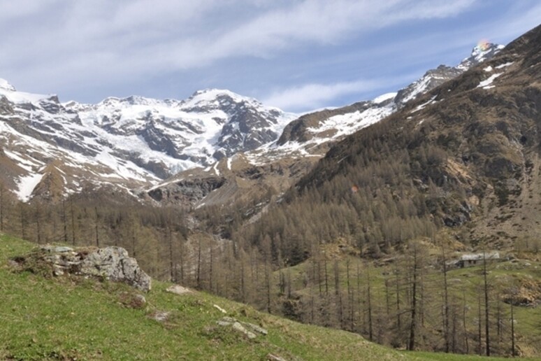 - RIPRODUZIONE RISERVATA