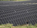 Da Bei e Iberdrola 108 milioni di euro per lo stoccaggio in Spagna (ANSA)