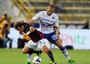 Bologna-Sampdoria 2-2