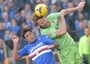 Sampdoria-Bologna 1-1