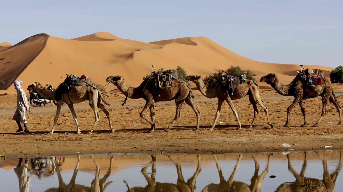 Sahara, alluvione nel deserto