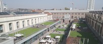 Con Campus Grapes nasce prima vigna hi-tech al Politecnico