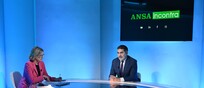 ANSA Incontra