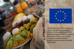 Bruxelles stanzia 99 milioni a sostegno degli agricoltori di cinque Paesi Ue