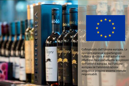 L'Ue promette misure di sostegno per il settore vino a marzo