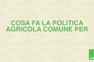 Cosa fa la Politica agricola comune per i cittadini  (ANSA)