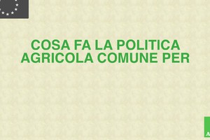 Cosa fa la politica agricola Ue per l'economia rurale? (ANSA)