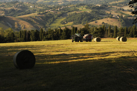 Via libera dall'Ue all'Italia a 167 milioni di aiuti per agricoltori