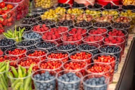 Frutti di bosco