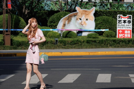 Murals of cats adorn walls in Shanghai street