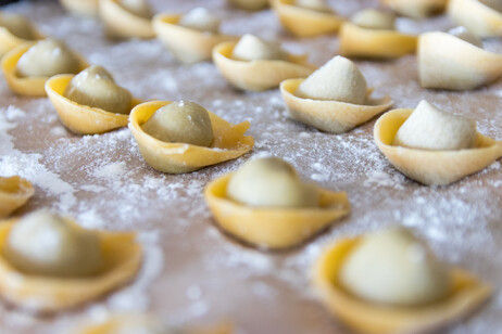 Ricostruita l'evoluzione della pasta ripiena (fonte: bingokid, iStock)