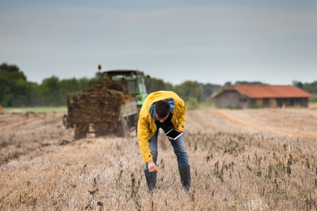 un campo coltivato