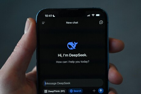 DeepSeek