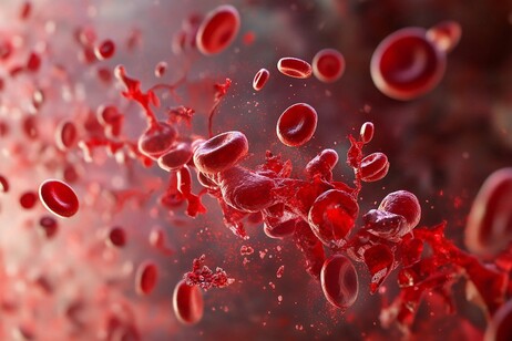 Un test del sangue aiuta a predire il declino cognitivo negli anziani (fonte: Pixabay)