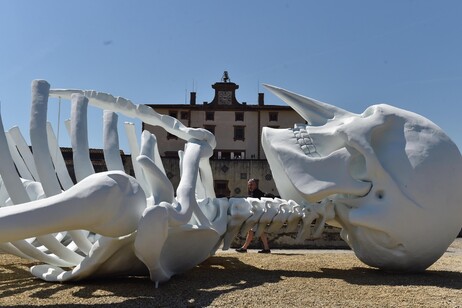 Exhibition in Florence 'Ytalia. Energia, Pensiero, Bellezza. Tutto è connesso'