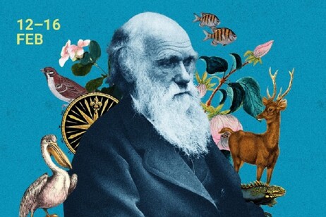 Particolare della locandina del Darwin Day 2025 del Museo di Storia Naturale e dell'Acquario Civico di Milano (fonte: Museo di Storia Naturale di Milano e Acquario Civico di Milano)