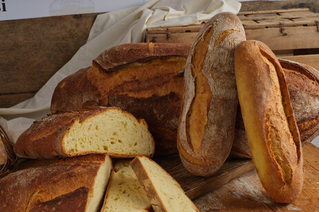 Il pane pugliese è campione di sostenibilità