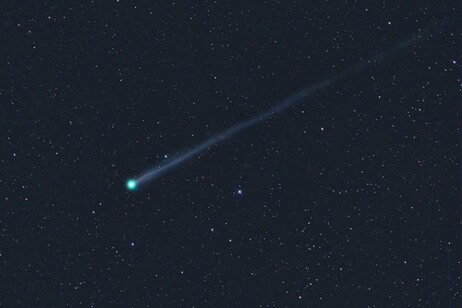 La cometa SWAN25F fotografata il 6 aprile (fonte: Micheal Jager, X)