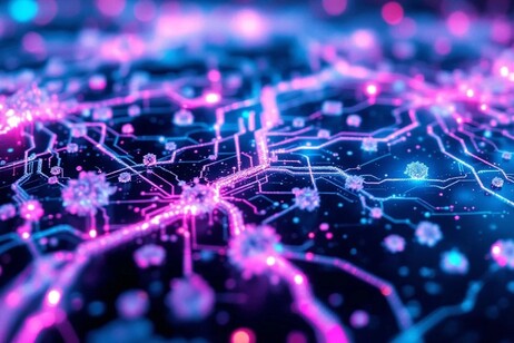 La coscienza si cerca nelle connessioni cerebrali, non più in un'unica  sede (fonte: StockCake)