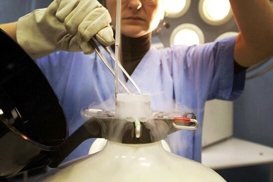 Adozione embrioni congelati, Ministeri al lavoro su testo