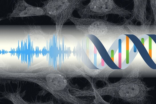 Rappresentazione grafica della relazione fra i suoni e la molecola della vita, il Dna (fonte: KyotoU/Kumeta lab)