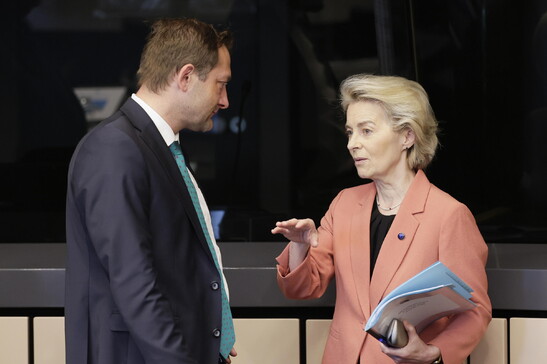 Von der Leyen: "In arrivo presto 'un'ondata' di semplificazione per gli agricoltori"