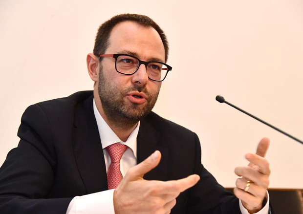 Il ministro Patuanelli (ANSA)