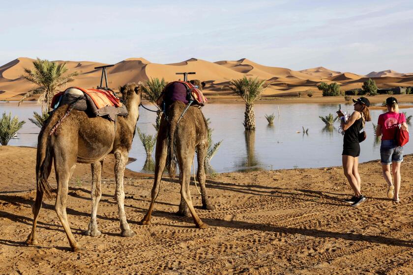 Sahara, alluvione nel deserto