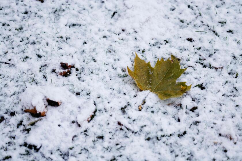 Germania: la neve disegna i paesaggi