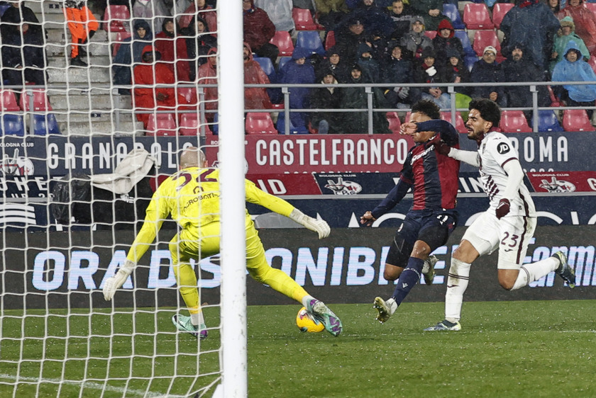 Soccer: Serie A ; Bologna-Torino