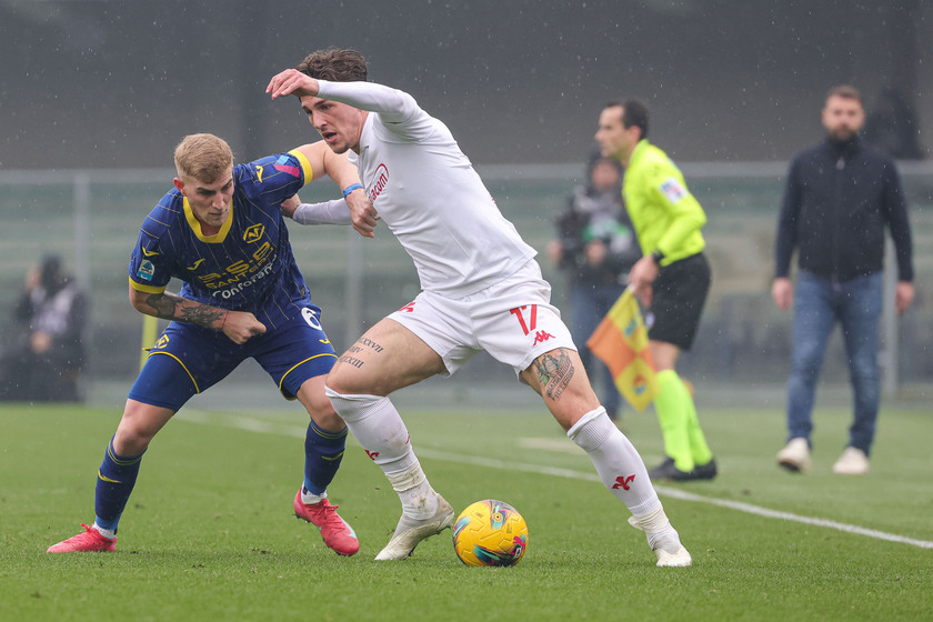 Serie A; Hellas Verona FC vs Fiorentina