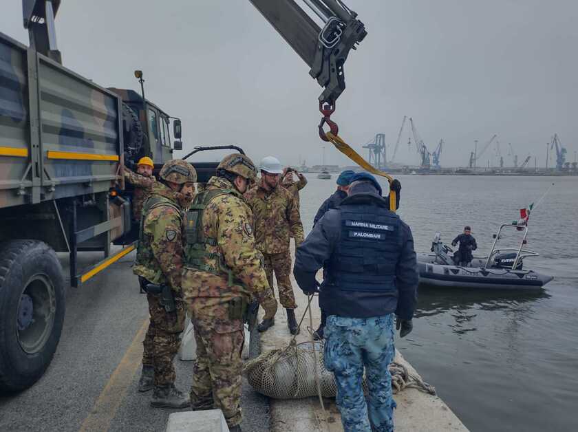 Terminato il disinnesco dell'ordigno bellico al porto di Ancona