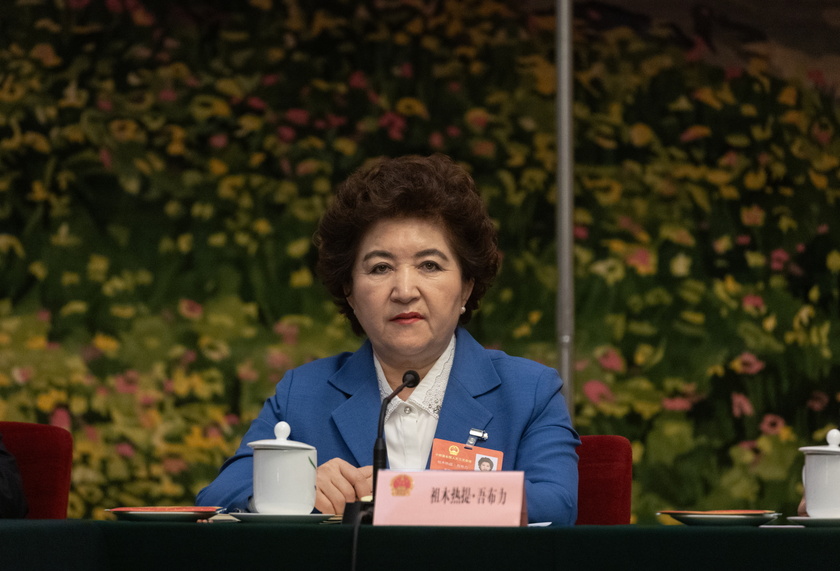 Xinjiang delegation group meeting during The Third Session of the 14th National People's Congress (NPC) of China