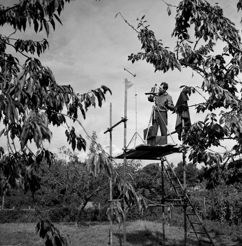 A Parigi una grande retrospettiva in omaggio a Doisneau