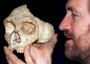 Lo scienziato Chris Stringer guarda il teschio di una donna di Neandertal