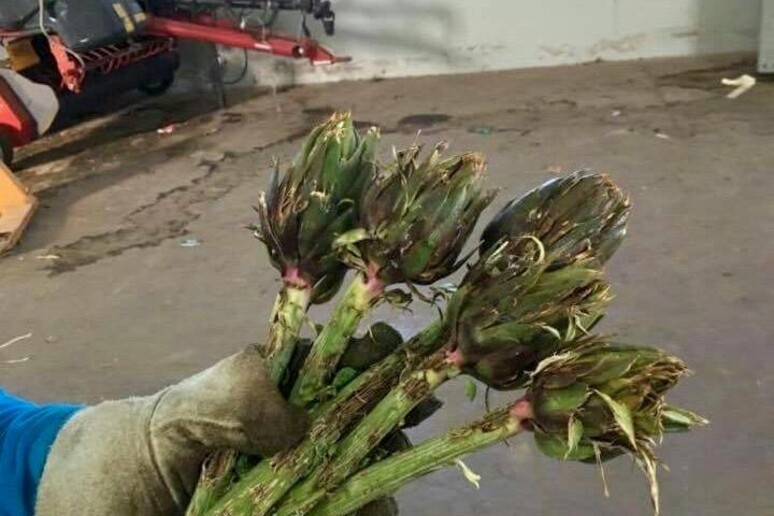 - RIPRODUZIONE RISERVATA