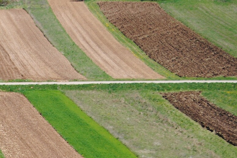 - RIPRODUZIONE RISERVATA