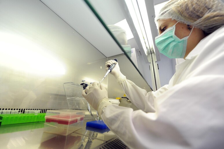 ++ PROCREAZIONE: LEGGE 40 A CONSULTA SU RICERCA EMBRIONI ++ - RIPRODUZIONE RISERVATA