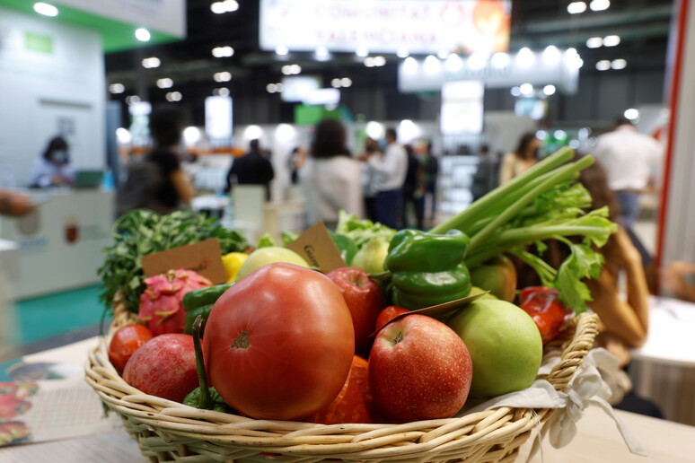 Caro-prezzi, estate nera per l 'ortofrutta - RIPRODUZIONE RISERVATA