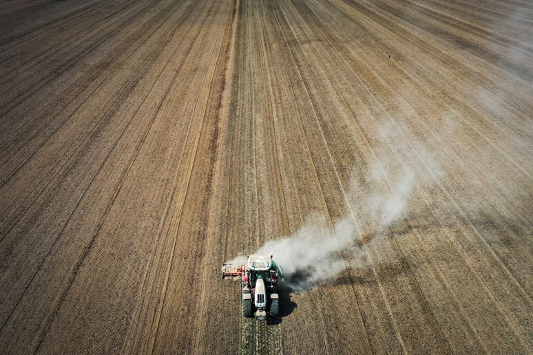 - RIPRODUZIONE RISERVATA