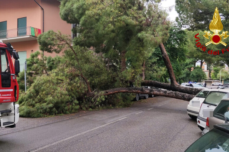 - RIPRODUZIONE RISERVATA