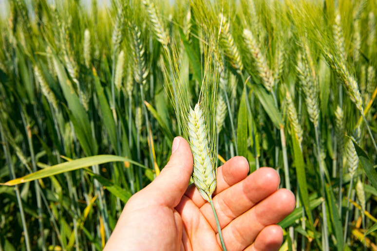 - RIPRODUZIONE RISERVATA