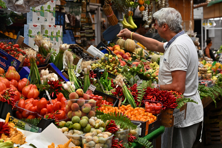 - RIPRODUZIONE RISERVATA