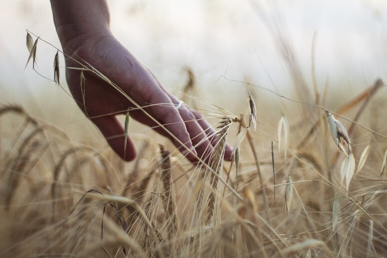 - RIPRODUZIONE RISERVATA