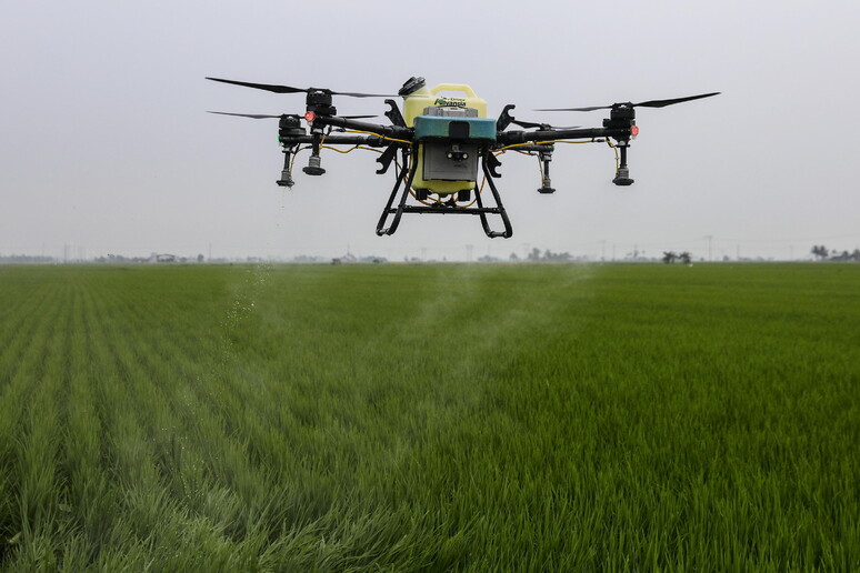 Bozza agricoltura, l 'Ue promette standard di reciprocità più rigidi © ANSA/EPA