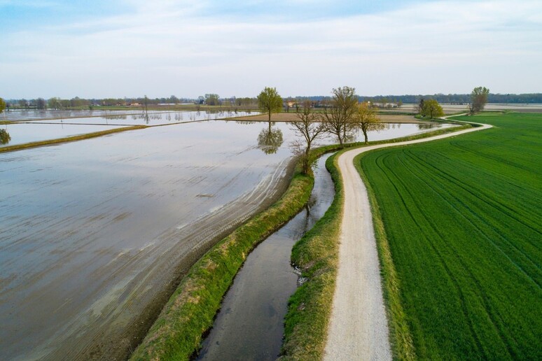 - RIPRODUZIONE RISERVATA