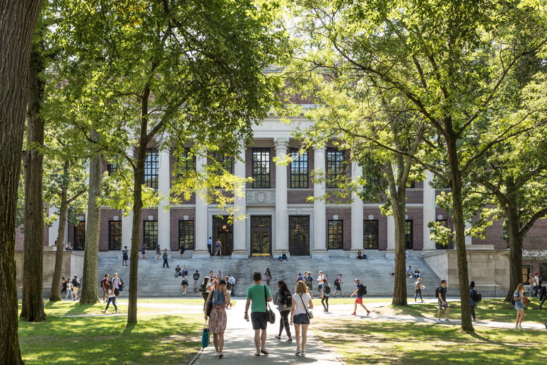 Harvard University campus iStock. - RIPRODUZIONE RISERVATA