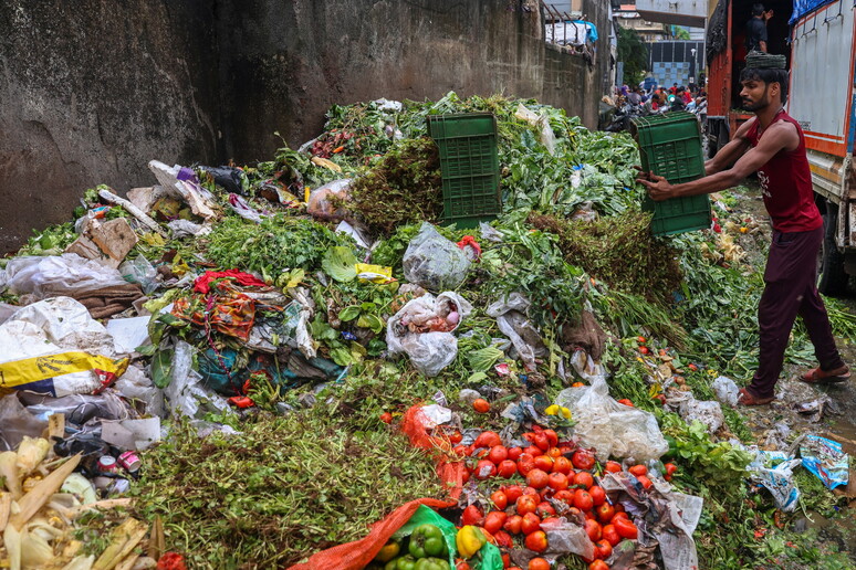 Intesa tra Parlamento e Consiglio sui target di riduzione rifiuti alimentari e tessili - RIPRODUZIONE RISERVATA