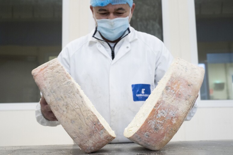 La produzione di gorgonzola supera i 5,27 milioni di forme - RIPRODUZIONE RISERVATA