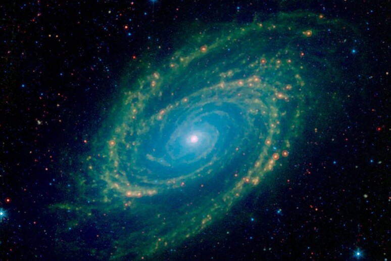 La galassia a spirale M81 vista nell 'infrarosso (fonte: NASA/JPL-Caltech) - RIPRODUZIONE RISERVATA